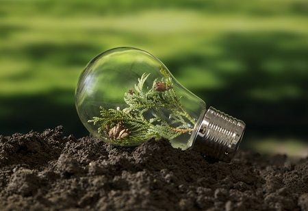 Warning Signs in Southeast Asia's Green Economy