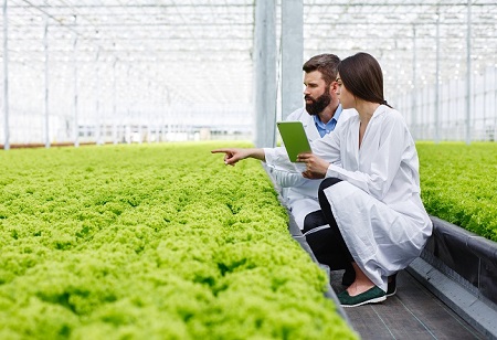 How Agriculture Consulting Can Enhance Farm Productivity