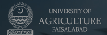 University of Agriculture