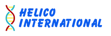 Helico International