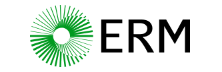 ERM Indonesia