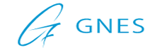 Gnes Corporation