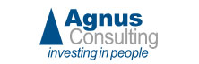 Agnus Consulting