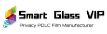 SmartglassVIP