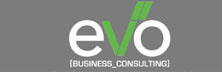 Evo Business Consulting