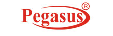 Pegasus Technologies