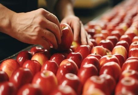  Uzbekistan Launches $2M Fruit Processing Plant