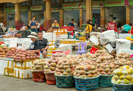  organic food industry, health and fitness