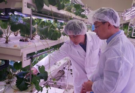 Japan's Culta Raises $4.5M to Scale AI-driven Non-GMO Crop Breeding