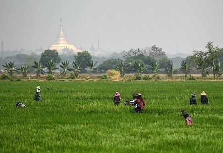 Global Food Crisis Looms Amid War, Heat & Price Surge