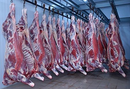  Japanese beef exports